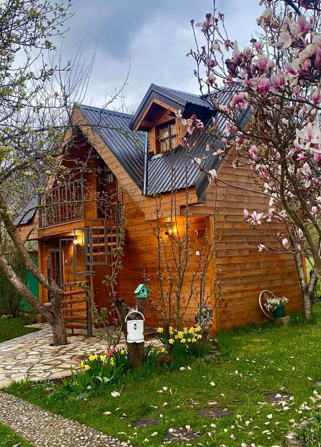 Blue Village 8 Kolašin Zewnętrze zdjęcie